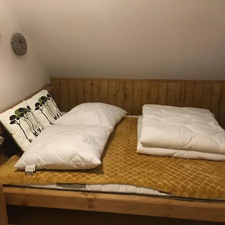 Sole Ferienhaus Borowy Mlyn